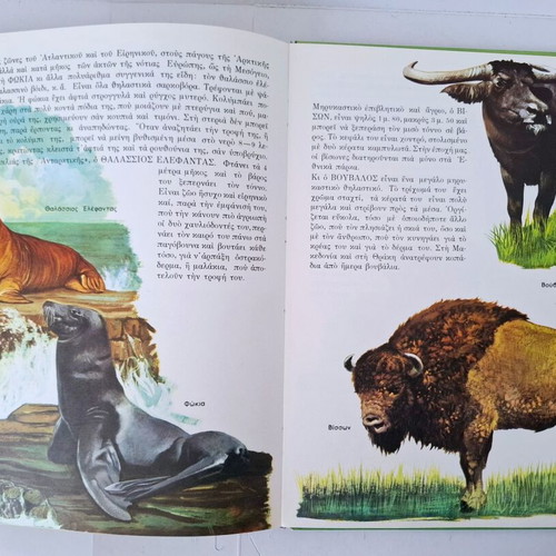 Encyclopedia of Animals 1966 used, Greek