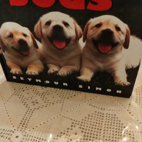 Children's book about dog breeds used, in English