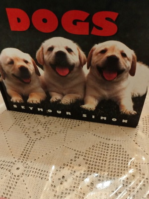 Children's book about dog breeds used, in English