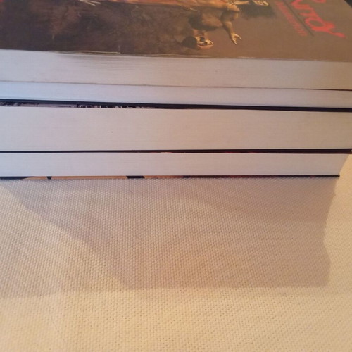Pack of 4 books The Legend of Manitou like new