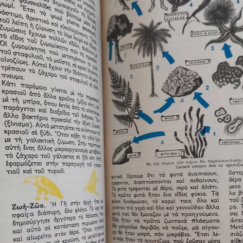 The New Encyclopedia of the Child by Antigoni Metaxa