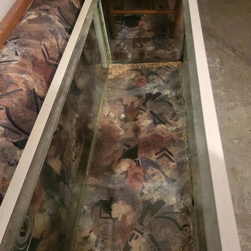 Aquarium used 270 liters with dimensions 124x46x46