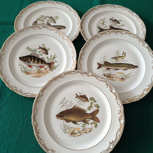 Limoges vintage plates with freshwater fish decoration, like new, set of 5