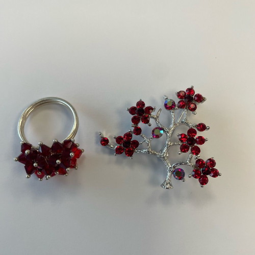 Jewelry set silver with red stones like new, brooch and ring