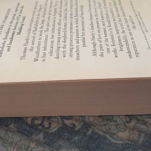 Far from the madding crowd new English book