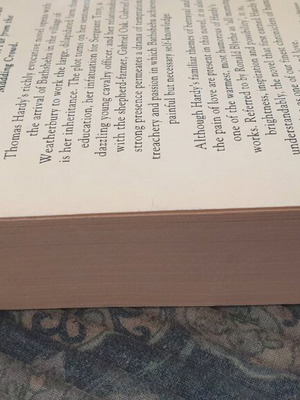 Far from the madding crowd new English book