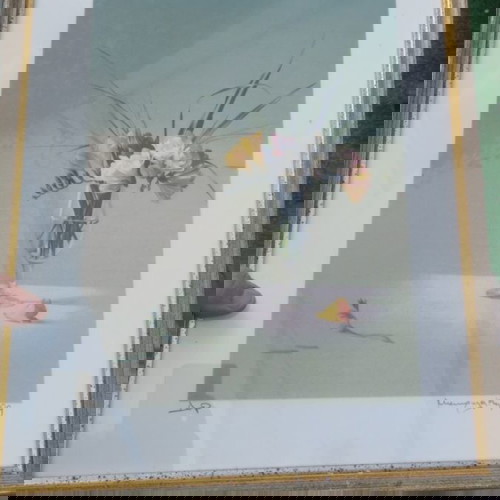 Рисунка М Макрулакис като нова