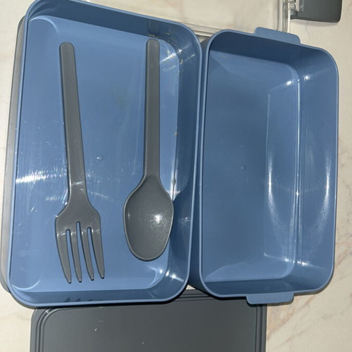 Two-Compartment Lunchbox used with fork and spoon