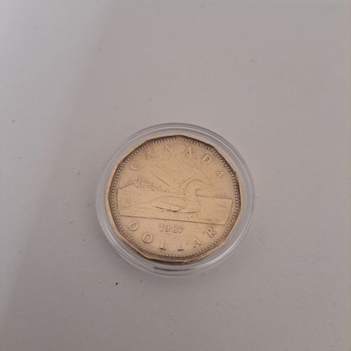 Canada Dollar 1987 Elizabeth Regina like new