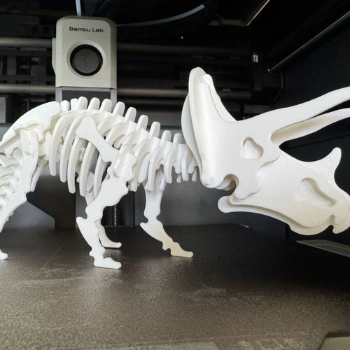Triceratops Dinosaur Skeleton Puzzle new