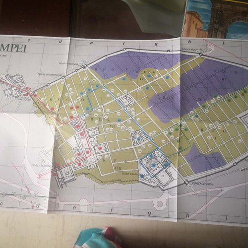 Pompeii Book New Archaeological History and Travel Guide