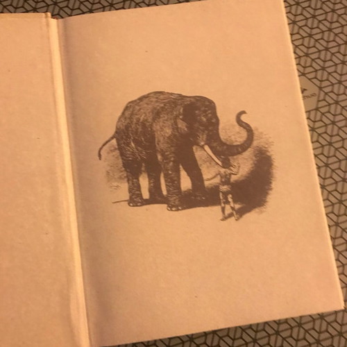 Mowgli The Jungle Book like new