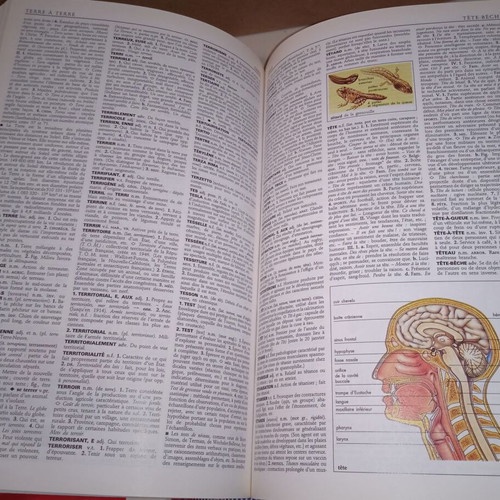 Le Petit Larousse Illustre 1994 French-French Dictionary used