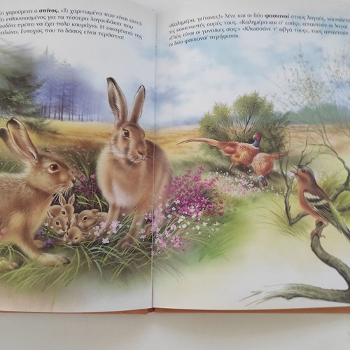 Ta zoakia sto dasos children's book used