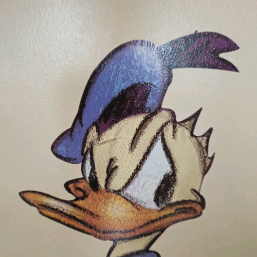 Donald Duck framed art print like new with wooden frame