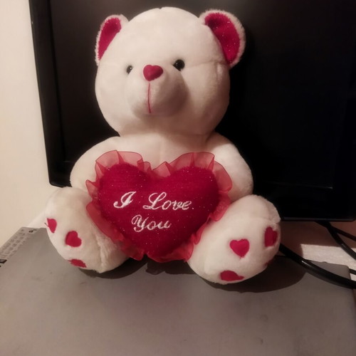 Plush teddy bear with heart