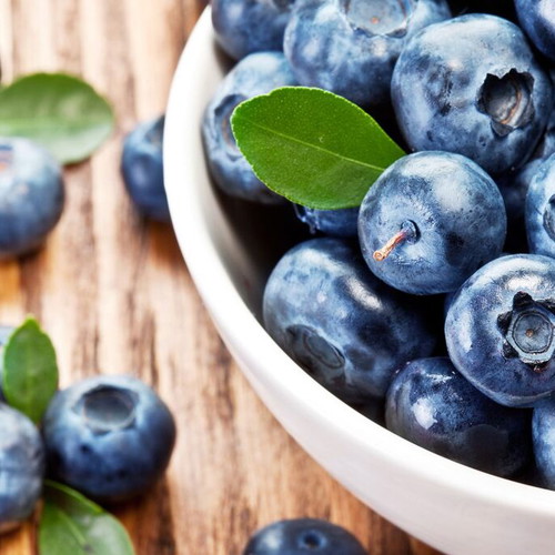 Blueberry seeds pack of 30, high quality