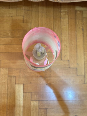 Dora the Explorer lamp used
