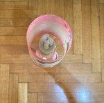 Dora the Explorer lamp used