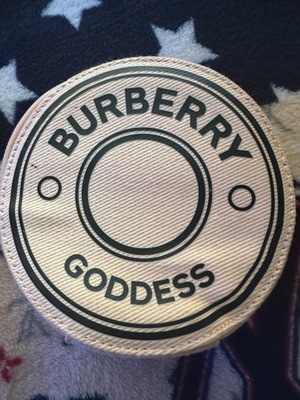Burberry Goddess toiletry bag new, beige with multiple compartments