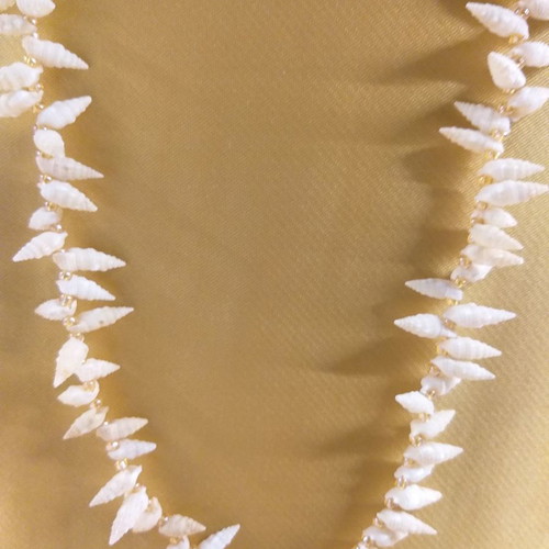 Necklace with white shells, vintage