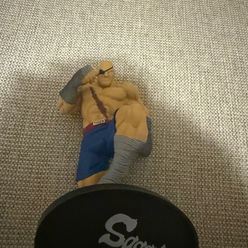 Street Fighter DeAgostini figure used, scale 1:18