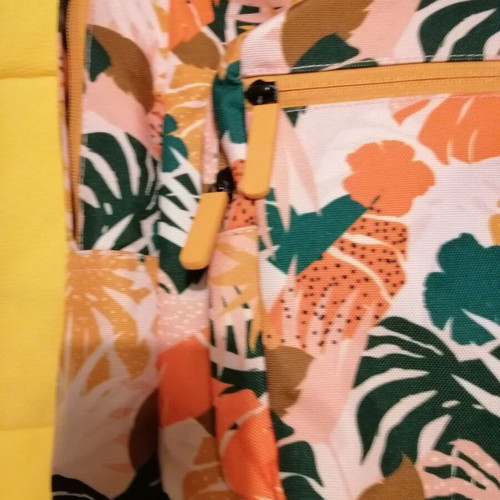 Santos backpack with reinforced back like new