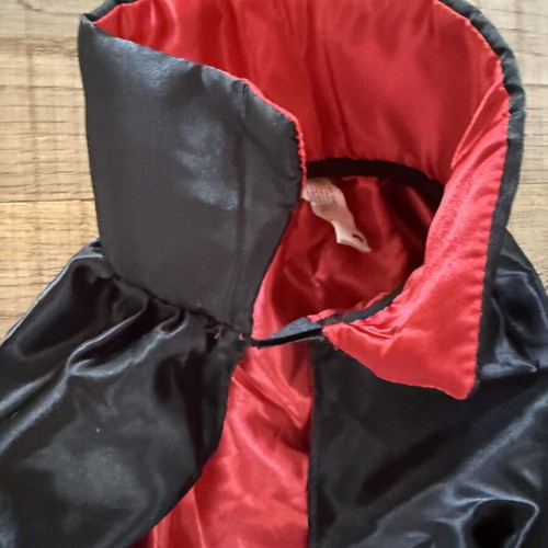 Carnival cape for kids used