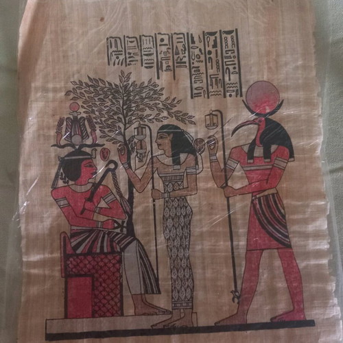 Papyrus from Egypt used