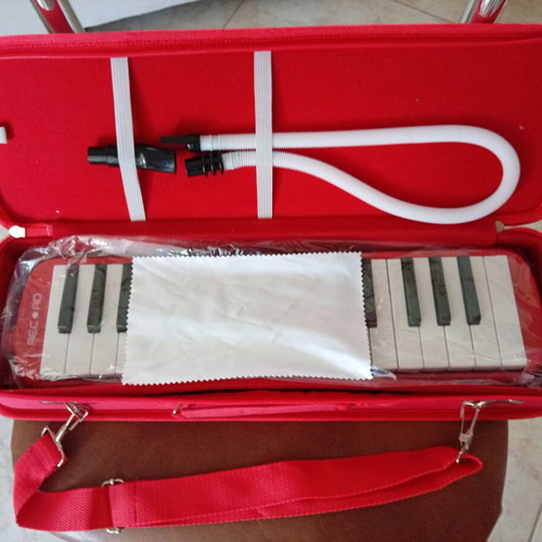 Record Melodica like new with case and two mouthpieces