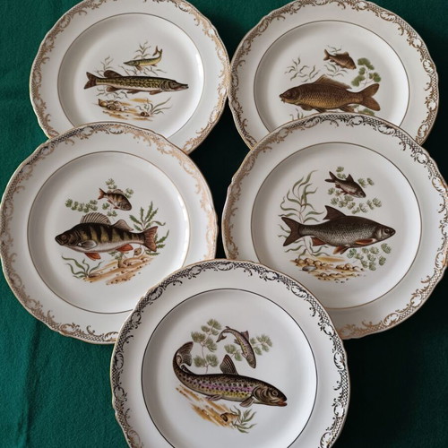 Limoges vintage plates with freshwater fish decoration, like new, set of 5