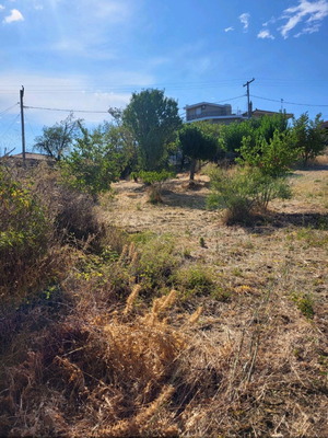 Οικόπεδο οικοδομήσιμο 952 τμ εντός οικισμού στην Εύβοια