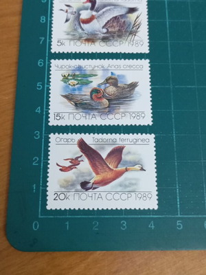 Ε.Σ.Σ.Δ. 1989 Ducks γραμματόσημα καινούργια