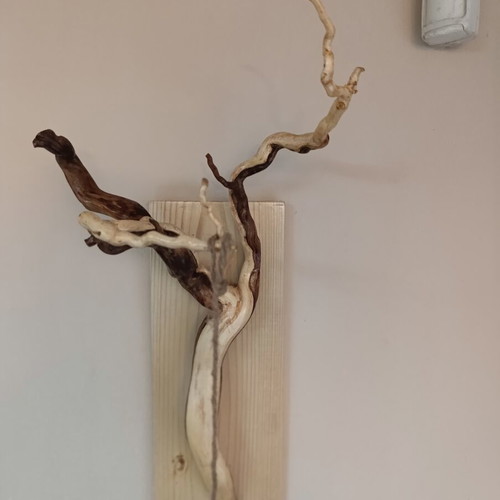 Handcrafted Wall-Mounted Forest Root Plant Hanger new