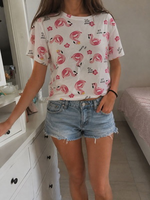 Zara Flamingo Crop Top T-shirt XS σαν καινούργιο, καλοκαιρινό μοτίβο