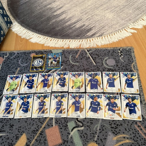 Adrenalyn XL Schalke stickers used, complete set