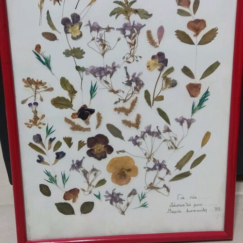 Vintage framed dried flowers 1989 used
