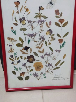 Vintage framed dried flowers 1989 used