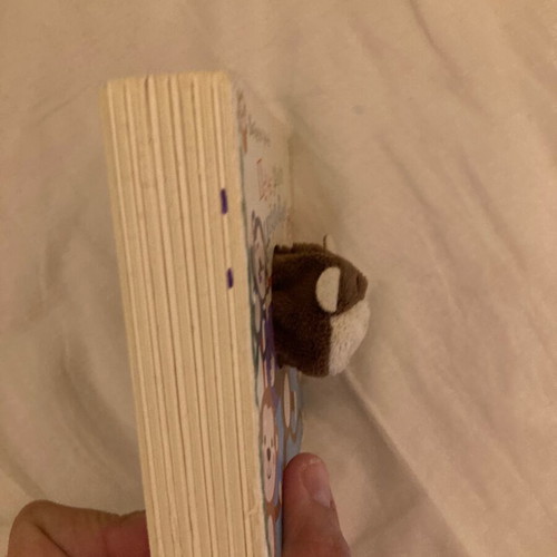 Five Monkeys used children's book