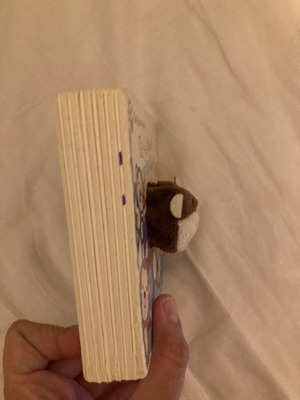 Five Monkeys used children's book