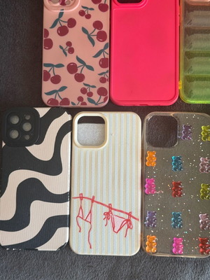 iPhone 12 Pro Max cases like new
