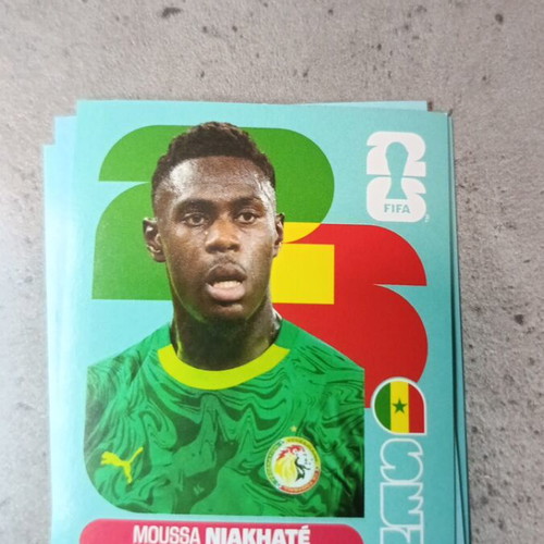Panini FIFA World Cup 2026 Sticker like new
