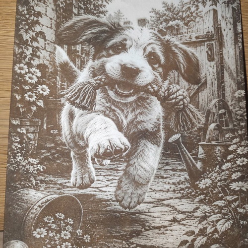 Laser Engraved Picture new, 30x24 cm