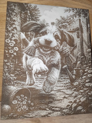 Laser Engraved Picture new, 30x24 cm