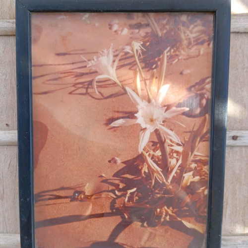 Black photo frame 15×19