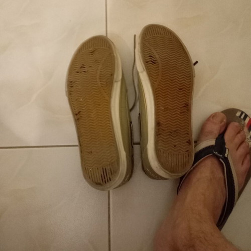 Funky Buddha Sailing Shoes used, size 43, khaki