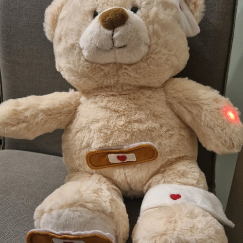 Sick Bear plush like new with accessories and instructions