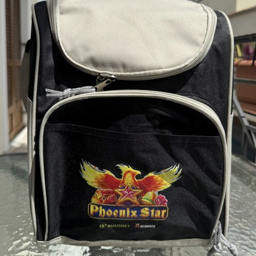 Cooler bag like new with adjustable shoulder strap and insulated lining