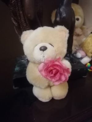 Forever Friends teddy bear like new