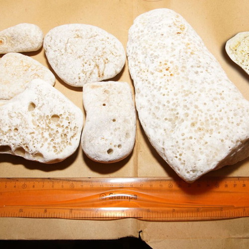 Sea decorative stones new coral style